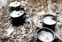 Empty Pots